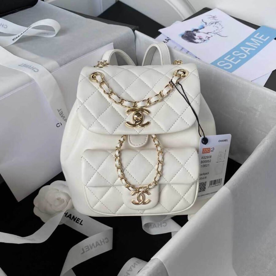 Best Copy Chanel Matelasse Small Backpacks AS2908