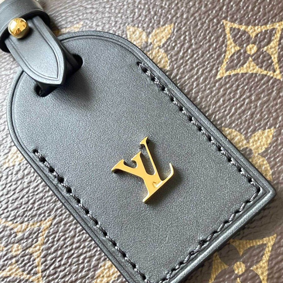 Petite Malle Souple Louis Vuitton Bag Replica M45571